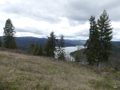 Wow, what a view on this 20 acre parcel overlooking Dworshak - photo 49