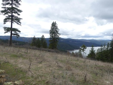 Wow, what a view on this 20 acre parcel overlooking Dworshak - photo 50