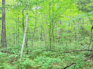 Stone Lake - Washburn County Acreage For Sale in Stone Lake Wisconsin