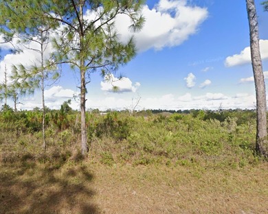 Lake Weohyakapka Lot For Sale in Indian Lake Estates Florida