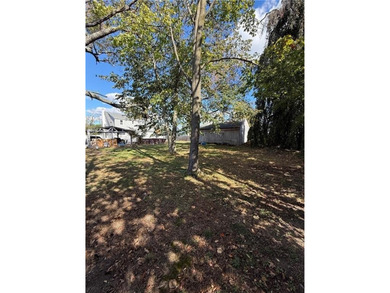 INVESTMENT OPPORTUNITY - PRIME LAND ON SUNRISE HIGHWAY 967 - photo 5