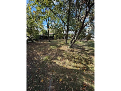 INVESTMENT OPPORTUNITY - PRIME LAND ON SUNRISE HIGHWAY 967 - photo 7