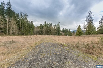Discover 6.65 acres of opportunity near Sequim with mountain - photo 11