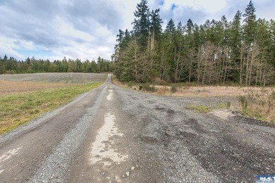 Discover 6.65 acres of opportunity near Sequim with mountain - photo 12