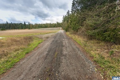 Discover 6.65 acres of opportunity near Sequim with mountain - photo 14