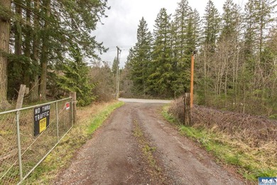 Discover 6.65 acres of opportunity near Sequim with mountain - photo 15