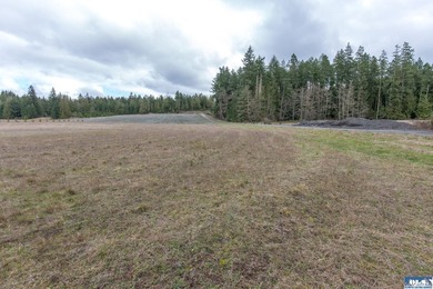 Discover 6.65 acres of opportunity near Sequim with mountain - photo 16