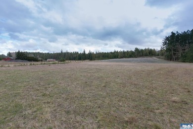 Discover 6.65 acres of opportunity near Sequim with mountain - photo 17