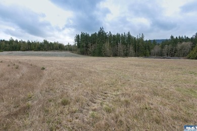 Discover 6.65 acres of opportunity near Sequim with mountain - photo 18