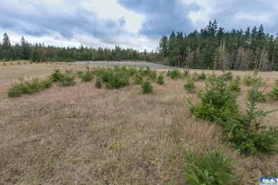 Discover 6.65 acres of opportunity near Sequim with mountain - photo 19