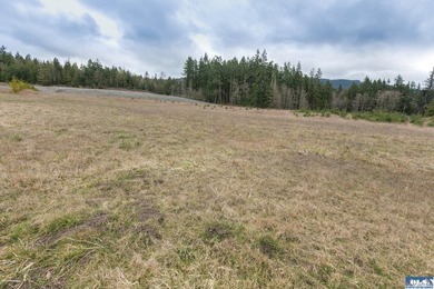 Discover 6.65 acres of opportunity near Sequim with mountain - photo 20