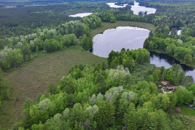 Lake Acreage For Sale in Tomahawk, Wisconsin