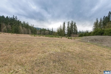 Discover 6.65 acres of opportunity near Sequim with mountain - photo 21