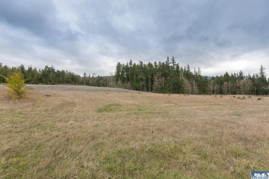 Discover 6.65 acres of opportunity near Sequim with mountain - photo 22
