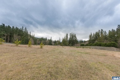 Discover 6.65 acres of opportunity near Sequim with mountain - photo 23