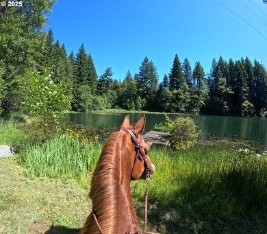Step onto the land where Lewis & Clark once explored-the - photo 5
