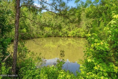 Welcome to 10050 Woodland Cove, a practically brand new home - photo 45