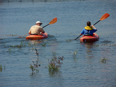 The Ideal Fisherman's Camp - photo 22