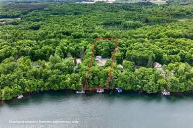 Like new, extensively remodeled Long Lake Retreat! Experience - photo 5