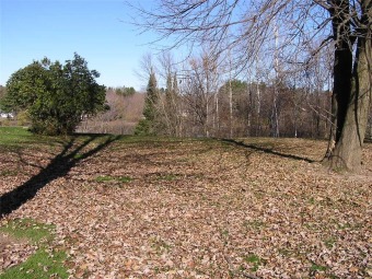 Flambeau River - Rusk County Lot For Sale in Ladysmith Wisconsin