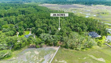 Lot 107 Riverpoint Lane is a Gorgeous Deep Water Homesite at - photo 11