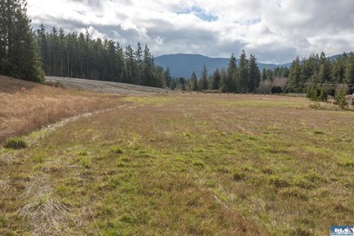 Beautiful 5.04-acre parcel with stunning mountain views and - photo 21