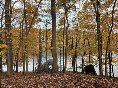 Wonderful building site of 4 lots very near popular Recreational - photo 4