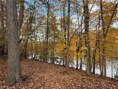 Wonderful building site of 4 lots very near popular Recreational - photo 5