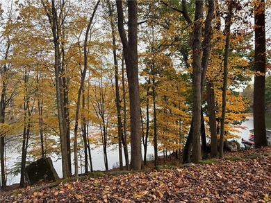 Wonderful building site of 4 lots very near popular Recreational - photo 6