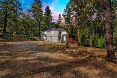 Lake Home For Sale in Rail Road Flat, California