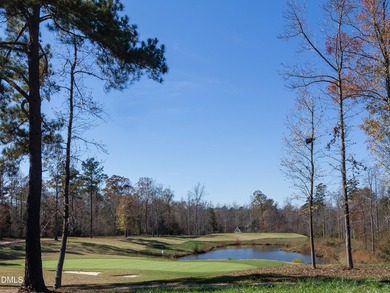 Wow! This gorgeous 4070 sf Prewitt-Douglas Custom home located - photo 39