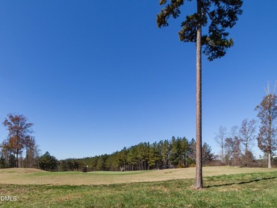 Wow! This gorgeous 4070 sf Prewitt-Douglas Custom home located - photo 41