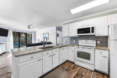 Fully Renovated Beach Condo/Prime Investment with Strong Rental - photo 10