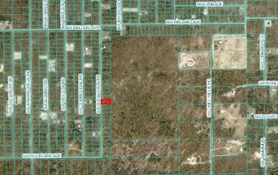 Bonable Lake Lot For Sale in Dunnellon Florida