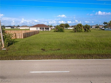 Prime Commercial Lot with High Visibility on El Dorado Blvd N! - photo 4
