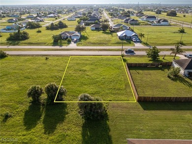 Prime Commercial Lot with High Visibility on El Dorado Blvd N! - photo 8