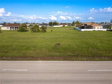 Prime Commercial Lot with High Visibility on El Dorado Blvd N! - photo 10