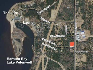 Two beautifully wooded home sites near Lake Petenwell - photo 2