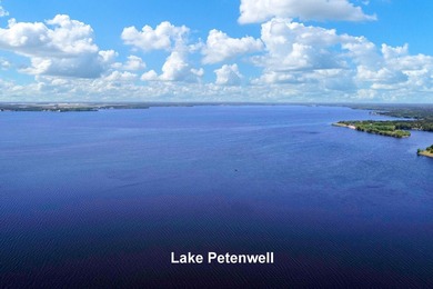 Two beautifully wooded home sites near Lake Petenwell - photo 4