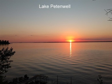 Two beautifully wooded home sites near Lake Petenwell - photo 6