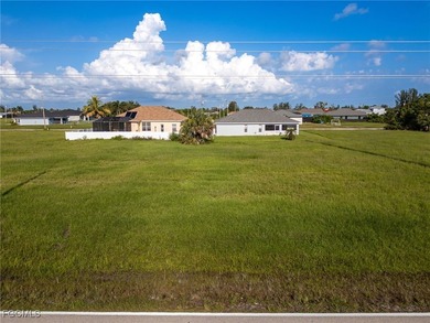 Prime Commercial Lot with High Visibility on El Dorado Blvd N! - photo 7