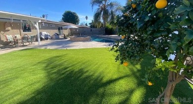 Lake Home For Sale in Lakeside, California