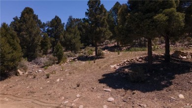 Baldwin Lake Lot For Sale in Big Bear City California