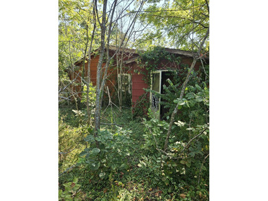 (private lake, pond, creek) Acreage For Sale in Pleasant Hope Missouri