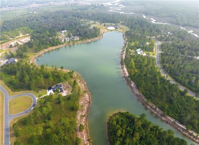Build the home you've been dreaming about in Lakeside at - photo 13