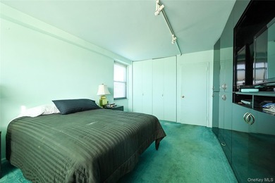 Spacious and sun-filled 2 bedroom, 2 bathroom corner coop - photo 14