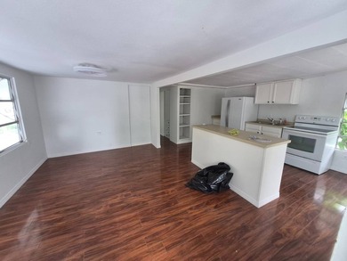 Fully Renovated 1960s MIRA Mobile Home in Prime St. Petersburg - photo 4