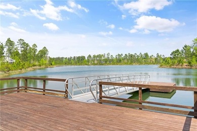 Build the home you've been dreaming about in Lakeside at - photo 21