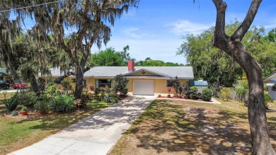 Lake Home Sale Pending in Umatilla, Florida