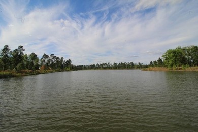Build the home you've been dreaming about in Lakeside at - photo 24